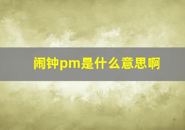 闹钟pm是什么意思啊