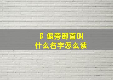 阝偏旁部首叫什么名字怎么读