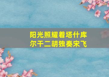 阳光照耀着塔什库尔干二胡独奏宋飞