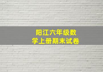 阳江六年级数学上册期末试卷