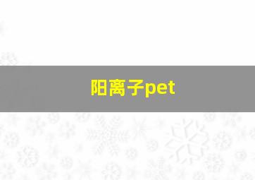 阳离子pet