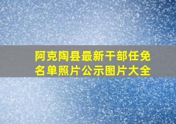 阿克陶县最新干部任免名单照片公示图片大全