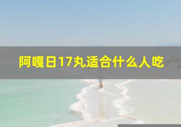 阿嘎日17丸适合什么人吃