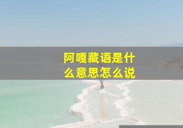 阿嘎藏语是什么意思怎么说