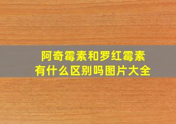 阿奇霉素和罗红霉素有什么区别吗图片大全