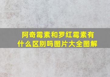 阿奇霉素和罗红霉素有什么区别吗图片大全图解