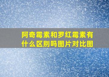 阿奇霉素和罗红霉素有什么区别吗图片对比图