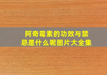 阿奇霉素的功效与禁忌是什么呢图片大全集