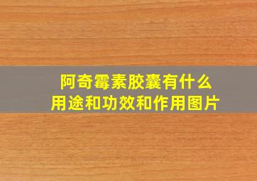 阿奇霉素胶囊有什么用途和功效和作用图片