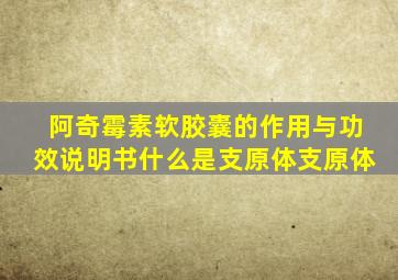 阿奇霉素软胶囊的作用与功效说明书什么是支原体支原体