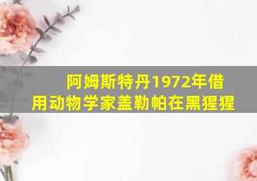 阿姆斯特丹1972年借用动物学家盖勒帕在黑猩猩