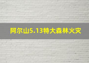 阿尔山5.13特大森林火灾