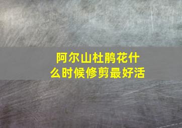 阿尔山杜鹃花什么时候修剪最好活