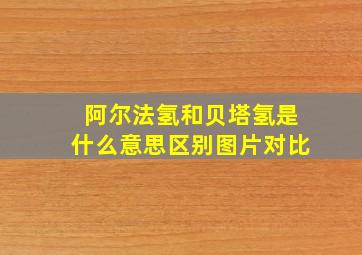 阿尔法氢和贝塔氢是什么意思区别图片对比