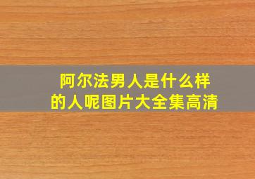 阿尔法男人是什么样的人呢图片大全集高清