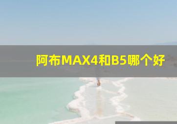 阿布MAX4和B5哪个好