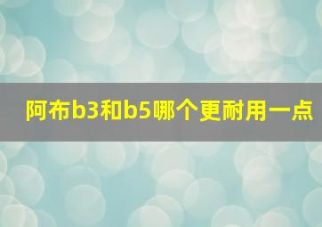 阿布b3和b5哪个更耐用一点