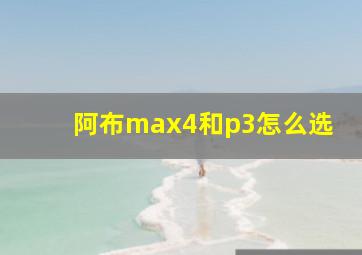 阿布max4和p3怎么选