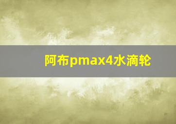 阿布pmax4水滴轮