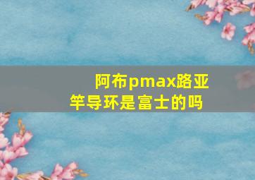 阿布pmax路亚竿导环是富士的吗