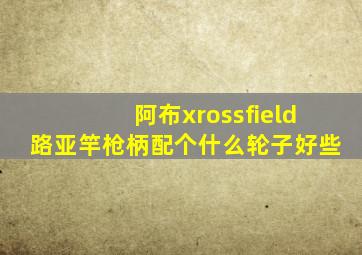 阿布xrossfield路亚竿枪柄配个什么轮子好些