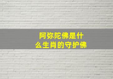 阿弥陀佛是什么生肖的守护佛