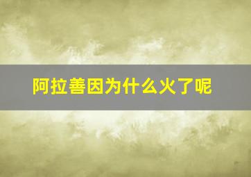 阿拉善因为什么火了呢