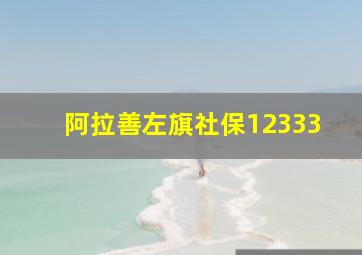 阿拉善左旗社保12333