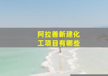 阿拉善新建化工项目有哪些