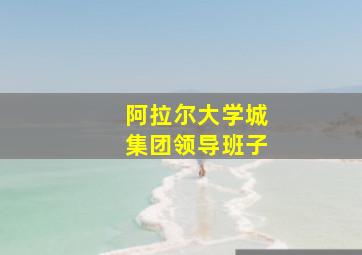 阿拉尔大学城集团领导班子