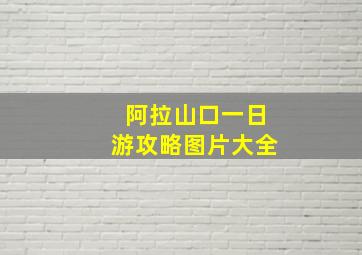 阿拉山口一日游攻略图片大全