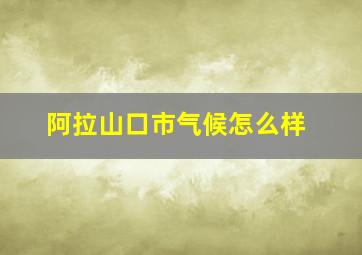 阿拉山口市气候怎么样