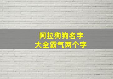 阿拉狗狗名字大全霸气两个字