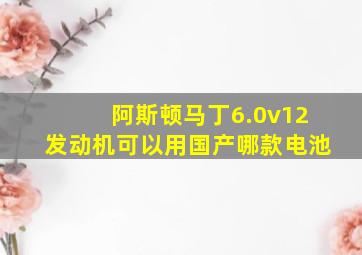 阿斯顿马丁6.0v12发动机可以用国产哪款电池