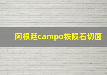 阿根廷campo铁陨石切面