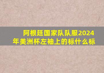 阿根廷国家队队服2024年美洲杯左袖上的标什么标