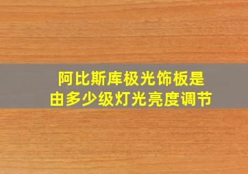 阿比斯库极光饰板是由多少级灯光亮度调节