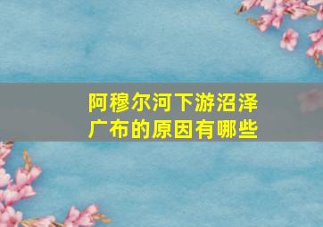 阿穆尔河下游沼泽广布的原因有哪些