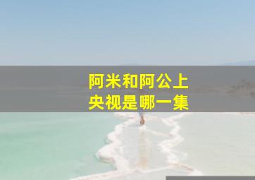 阿米和阿公上央视是哪一集