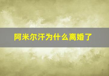 阿米尔汗为什么离婚了