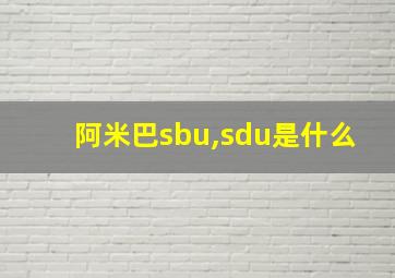 阿米巴sbu,sdu是什么