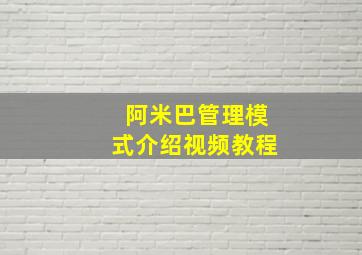 阿米巴管理模式介绍视频教程