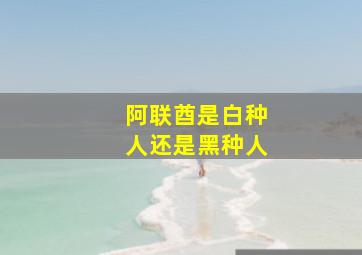 阿联酋是白种人还是黑种人