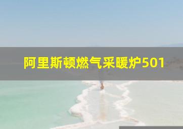 阿里斯顿燃气采暖炉501