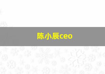 陈小辰ceo