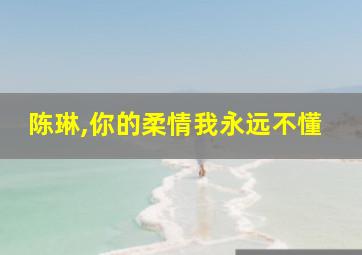 陈琳,你的柔情我永远不懂