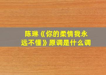 陈琳《你的柔情我永远不懂》原调是什么调