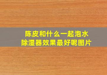 陈皮和什么一起泡水除湿器效果最好呢图片