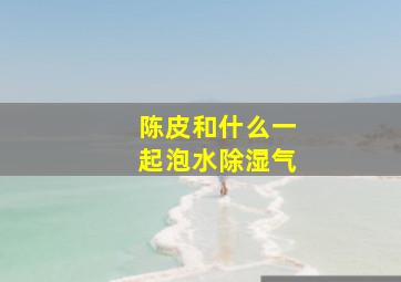 陈皮和什么一起泡水除湿气