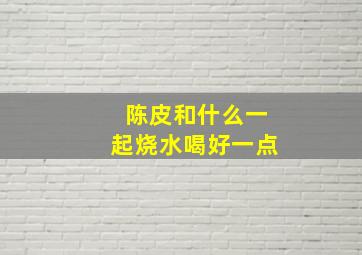 陈皮和什么一起烧水喝好一点